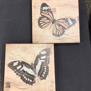 Set of butterfly pictures